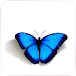 Logo of Butterfly Wallpaper android Application 