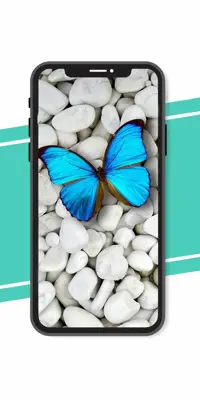 Butterfly Wallpaper android App screenshot 1